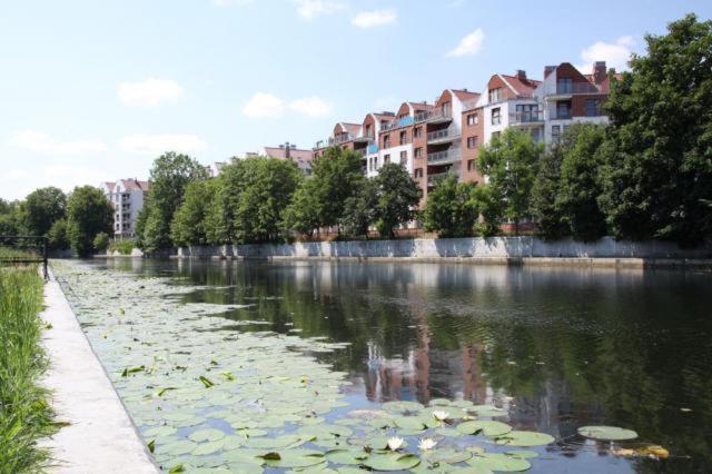 Apartament Bello - Free Parking Apartment Gdansk Luaran gambar